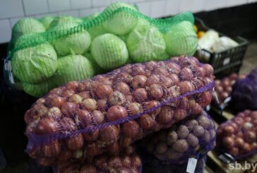 В Минской области осенние сельскохозяйственные ярмарки начнут работу с 4 октября